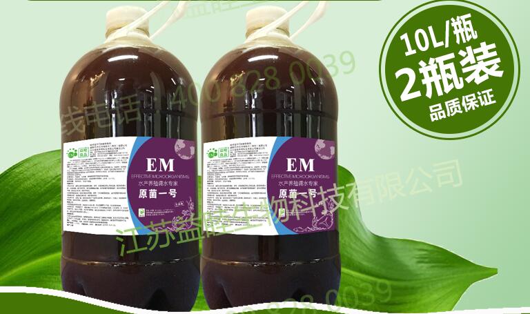 EM菌種研發公司介紹預防小龍蝦病害的方法