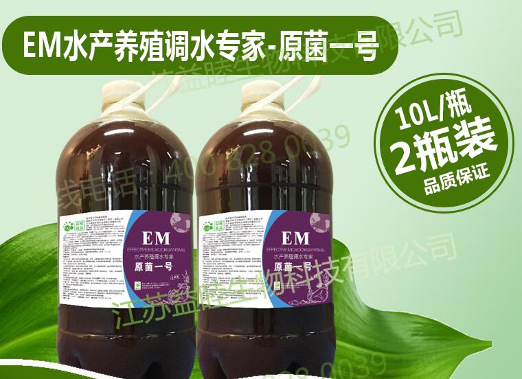 EM菌種在水產微生物領域能起到哪些作用